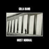 Most Normal | Blue LP